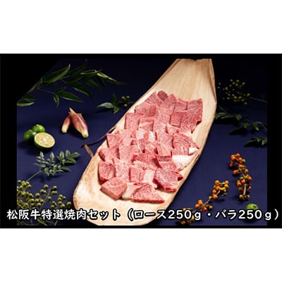 【毎月定期便】松阪牛極み定期便全6回【配送不可地域：離島】【4009458】