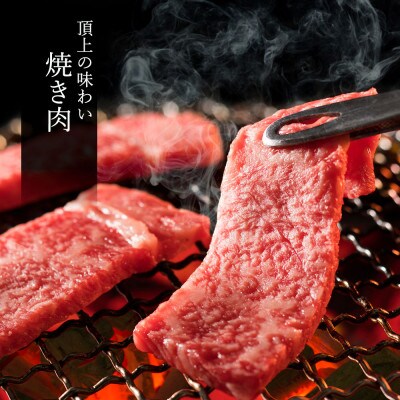 松阪牛 極上焼肉 おまかせ6種 600g【配送不可地域：離島】【1566676】