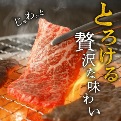 松阪牛 焼肉用 (ロース) 600g【配送不可地域：離島】【1092783】