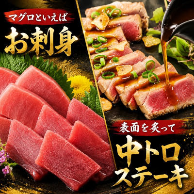 蝗ス逕」譛ャ縺セ縺舌m (襍、霄ォ繝サ荳ュ繝医Ο) 遏ュ蜀翫そ繝繝 600g莉・荳 (150g莉・荳甘4譛ャ)縲宣埼∽ク榊庄蝨ー蝓滂シ夐屬蟲カ縲代1501228縲