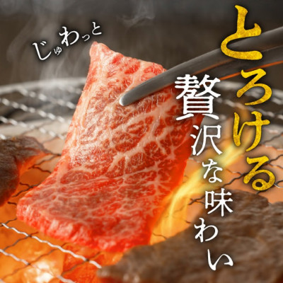 松阪牛 焼肉 (ロース) 700g【配送不可地域：離島】【1293432】