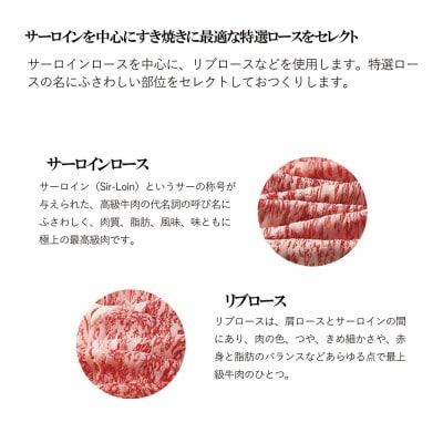 松阪牛 特選ロース すき焼き 500g【配送不可地域：離島】【1643167】