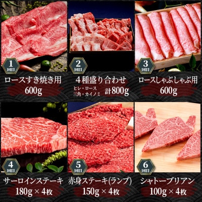 縲先ッ取怦螳壽悄萓ソ縲第收髦ェ迚帛ョ壽悄萓ソ 雍豐「繧ウ繝シ繧ケ蜈ィ6蝗槭宣埼∽ク榊庄蝨ー蝓滂シ夐屬蟲カ縲代4078871縲