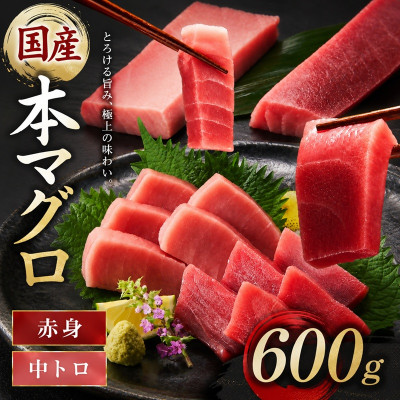 蝗ス逕」譛ャ縺セ縺舌m (襍、霄ォ繝サ荳ュ繝医Ο) 遏ュ蜀翫そ繝繝 600g莉・荳 (150g莉・荳甘4譛ャ)縲宣埼∽ク榊庄蝨ー蝓滂シ夐屬蟲カ縲代1501228縲