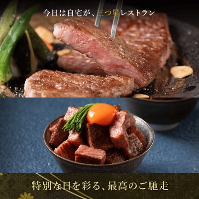 【毎月定期便】極上松阪牛 堪能コース(定期便5ヵ月)全5回【配送不可地域：離島】【4081455】