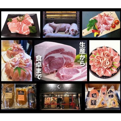 【発送月固定定期便】松阪豚 半頭買い 毎月2.5キロ 松阪肉の街三重県松阪市のブランド豚肉全12回【配送不可地域：離島】【4077501】