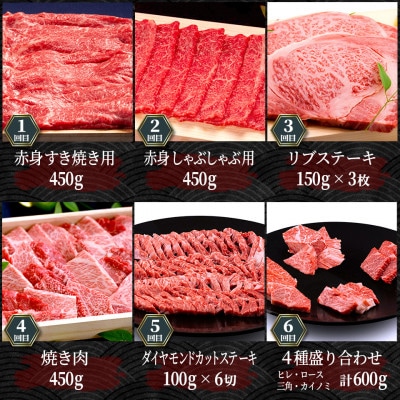 縲先ッ取怦螳壽悄萓ソ縲第收髦ェ迚帛ョ壽悄萓ソ 豈取怦雍豐「繧ウ繝シ繧ケ蜈ィ12蝗槭宣埼∽ク榊庄蝨ー蝓滂シ夐屬蟲カ縲代4086836縲