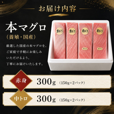蝗ス逕」譛ャ縺セ縺舌m (襍、霄ォ繝サ荳ュ繝医Ο) 遏ュ蜀翫そ繝繝 600g莉・荳 (150g莉・荳甘4譛ャ)縲宣埼∽ク榊庄蝨ー蝓滂シ夐屬蟲カ縲代1501228縲