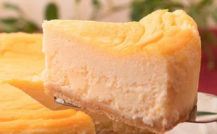 ホリ珈琲　珈琲に合う究極のチーズケーキ＆有機栽培ドリップパック5枚　ad15