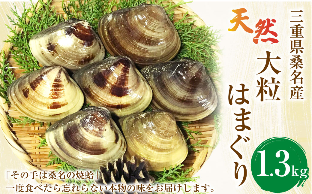 【指定日必須】マルヨシ水産　桑名産大粒天然蛤　1.3kg_はまぐり　ハマグリ　魚介　貝　魚貝　活はまぐり　焼きはま　海鮮　網焼き　酒蒸し　お吸い物　パエリア　パスタ