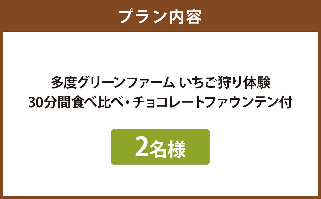 多度グリーンファーム いちご狩り体験 2名様 ／ 体験 経験 いちご狩り チョコレートファウンテン いちご イチゴ 苺