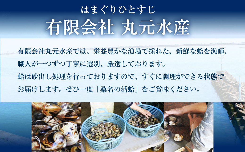 【指定日必須】 丸元水産 桑名産蛤（ハマグリ） 4.0kg はまぐり 蛤 天然蛤 砂出し済 【2025年9月下旬から2026年6月下旬発送予定】 023-0033