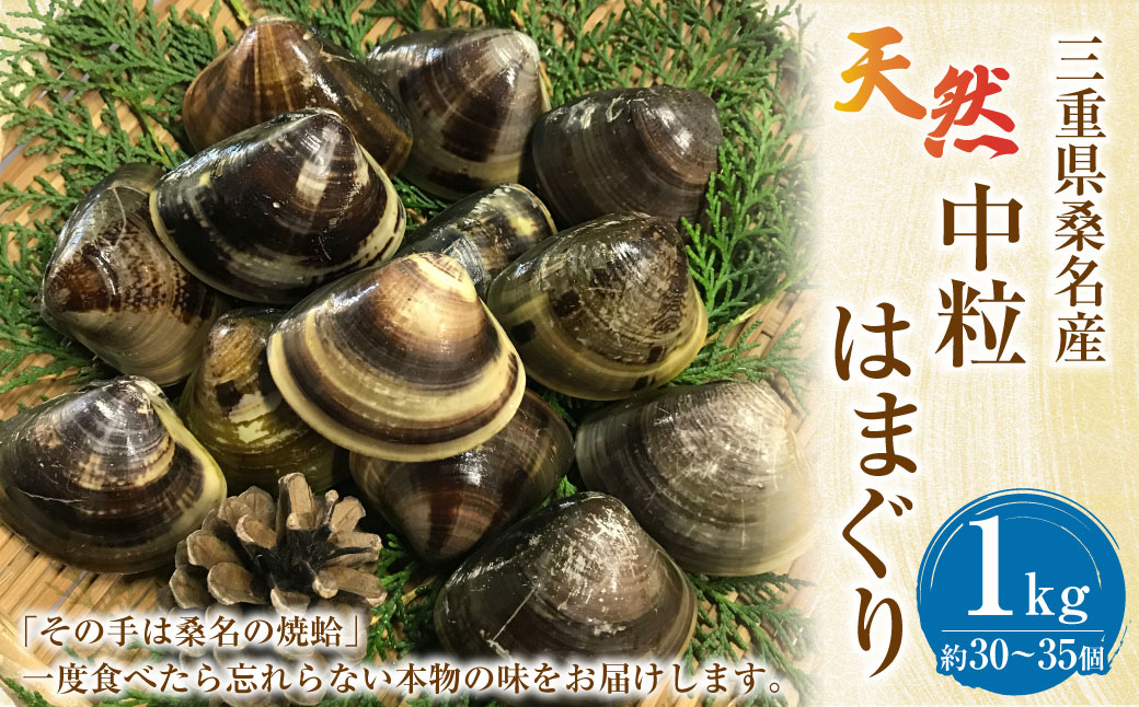 【指定日必須】【配送不可地域有】マルヨシ水産 桑名産中粒天然蛤 1kg（約30～35個）はまぐり ハマグリ 魚介 貝 魚貝 活はまぐり 焼きはま 海鮮 網焼き 酒蒸し お吸い物 パエリア パスタ