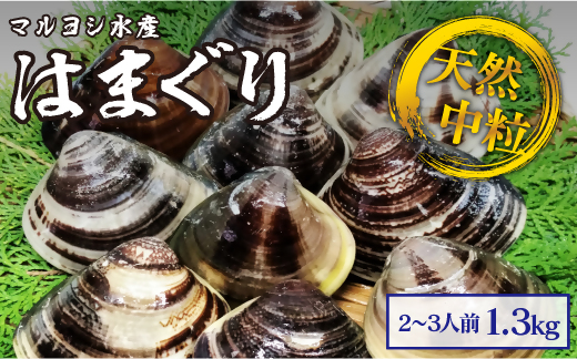 マルヨシ水産　桑名産中粒天然蛤　1.3kg_はまぐり　ハマグリ　魚介　貝　魚貝　活はまぐり　焼きはま　海鮮　網焼き　酒蒸し　お吸い物　パエリア　パスタ　b_65