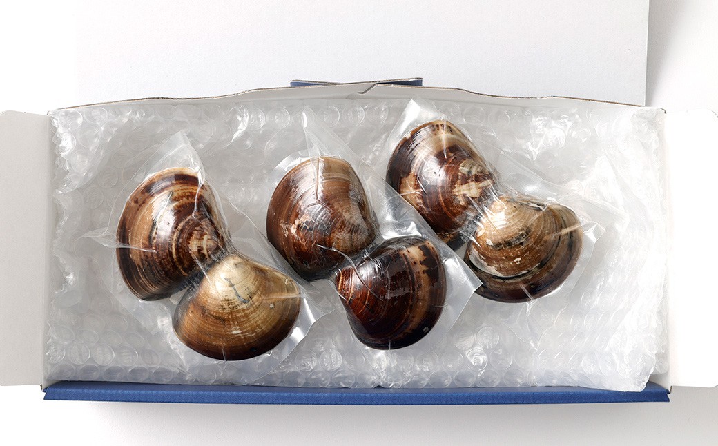 5年もの 桑名産 はまぐり 2粒×9個入 計18粒（ レトルト ） ハマグリ 蛤 貝 カイ 魚介 魚介類 海鮮 海の幸 常温