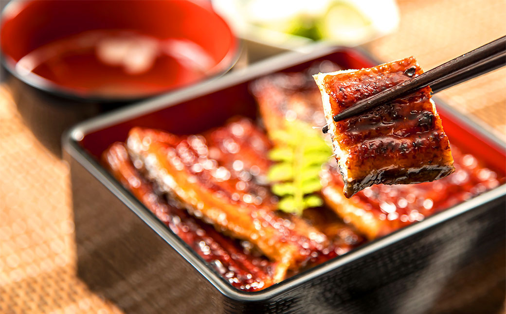 王鉄興業 木曽三川うなぎ長焼きセット 鰻 ウナギ 蒲焼 かば焼 たれ タレ 土用の丑 ひつまぶし うな重 ca05