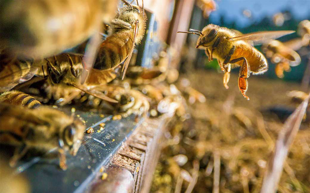 闊倬、願怩蝣エ譛ャ蠎 荵晁庄縺ッ縺。縺ソ縺、 130gテ6譛ャ 蝗ス逕」 辟。豺サ蜉 濶ッ雉ェ 陷り惧 繝上メ繝溘ヤ 鬢願怩 繧ョ繝輔ヨ 雍育ュ 莠コ豌 譁咏炊 縺願藷蟄 蛛・蠎キ 菫晏ュ 039-0013