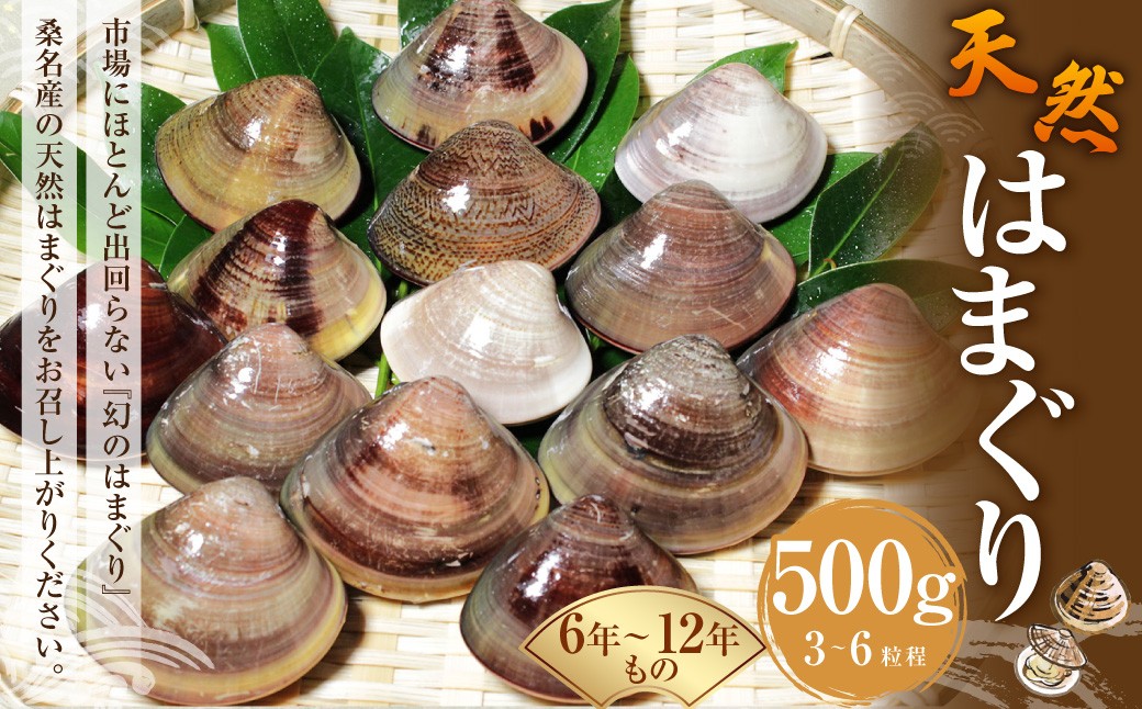 【指定日必須】 桑名産 天然はまぐり 6年～12年もの 500g ハマグリ 蛤 貝 カイ 天然 魚介 魚介類 海鮮 海の幸 冷蔵  焼きはまぐり 焼き蛤 その手は桑名の焼きはまぐり 特産