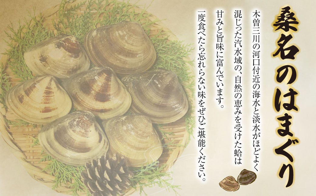 【指定日必須】マルヨシ水産 桑名産中粒天然蛤 1kg_はまぐり ハマグリ 魚介 貝 魚貝 活はまぐり 焼きはま 海鮮 網焼き 酒蒸し お吸い物 パエリア パスタ