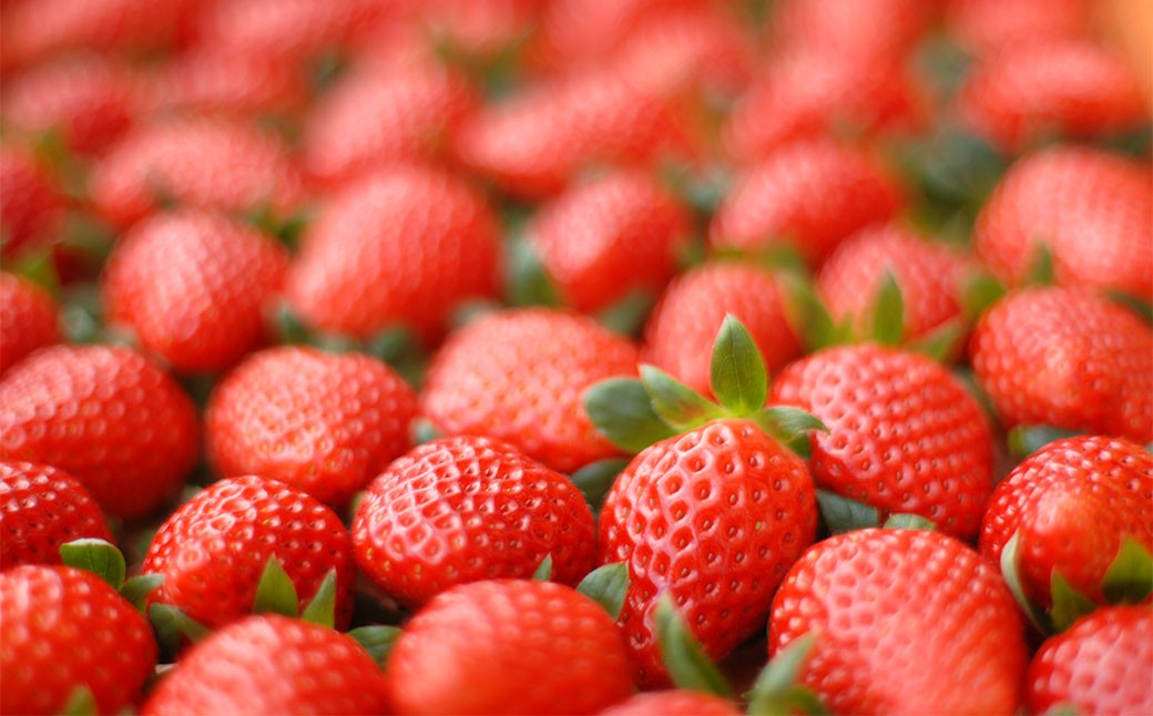 ã®ããã蟲åã®æ°é®®ãã¡ãA åèš1000g ïŒ250gÃ4ããã¯ïŒ ãæå®æ¥å¿
é ã ã2026幎2æäžæ¬è¿çºéäºå®ã ïŒ ãã¡ã ã€ããŽ èº ç« å§« ãã㯠æç© ãã ãã® ãã«ãŒã å·èµ äžéç æ¡ååž