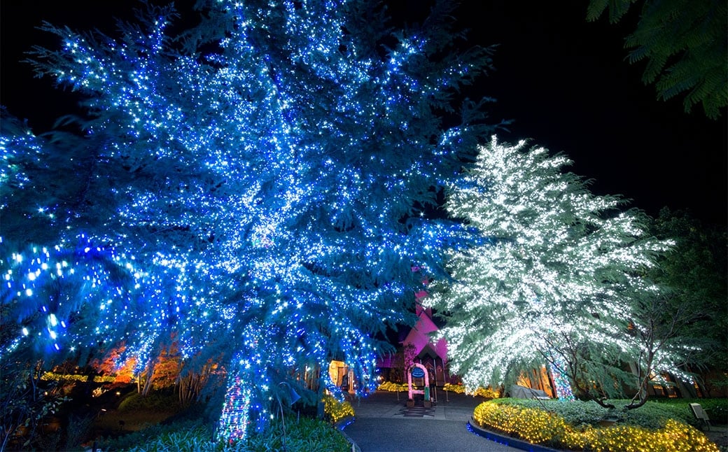 なばなの里 イルミネーション特別入村券 4名様分（ベゴニアガーデン入場券付）  ／ イルミネーション チケット イベント 入場券 券 利用券 夜 4人 4名 グループ 家族 【2026年4月下旬まで発送予定】