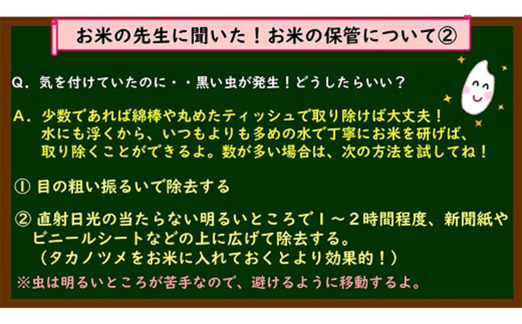 令和7年産 三重県産 コシヒカリ 5kg×1袋 【2026年7月下旬頃迄発送予定】 米 お米 白米 精米 こしひかり 国産 ご飯 白飯 おにぎり 三重県 桑名市
