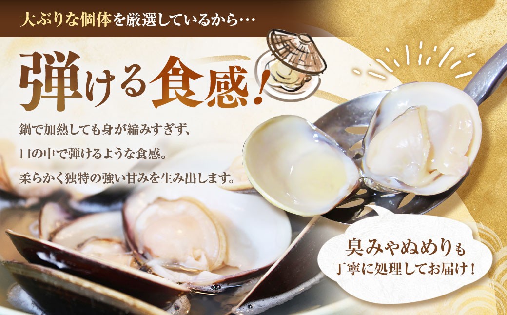 【おまけ約100g】日の出 桑名産 天然はまぐり鍋セット（出汁付）約2人前 蛤 ハマグリ 魚介 貝 魚貝 活はまぐり 海鮮 だし 無添加