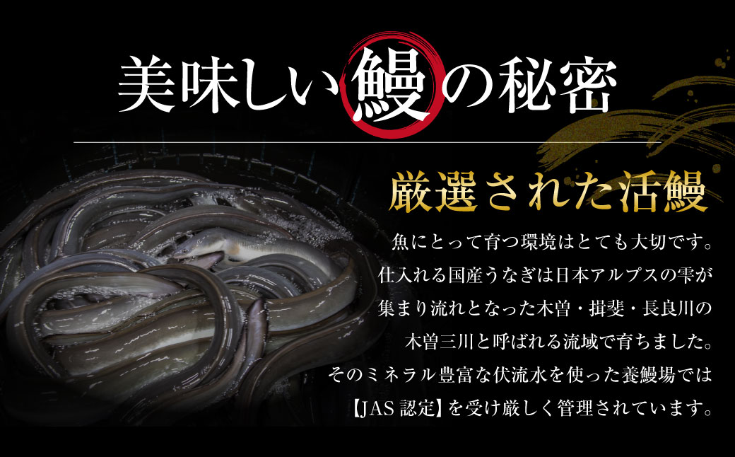 çéèæ¥ æšæœäžå·ããªã3人åïŒããã¿è²çŒ é°» ãŠãã® è²çŒ ãã°çŒ ãã ã¿ã¬ åçšã®äž ã²ã€ãŸã¶ã ããªé aa03