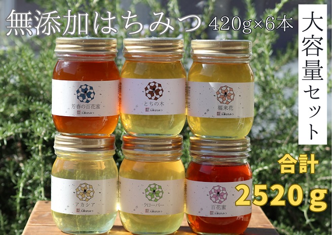 舘養蜂場本店　九華はちみつ大容量セット420ｇ×6本　国産　無添加　良質　蜂蜜　ハチミツ　養蜂　大容量　料理　お菓子　健康　保存　c_89