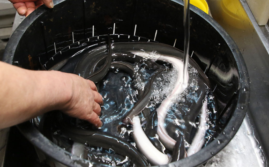 木曽三川ウナギのうなぎまぶし 100g × 3パック 合計300g ／ （刻みの海苔 濃縮出汁 わさび（冷凍）付） ／ うなぎ 鰻 ウナギ 国産 国産鰻 ひつまぶし うなぎまぶし 土用の丑の日 丑の日 良質 老舗 冷凍 三重