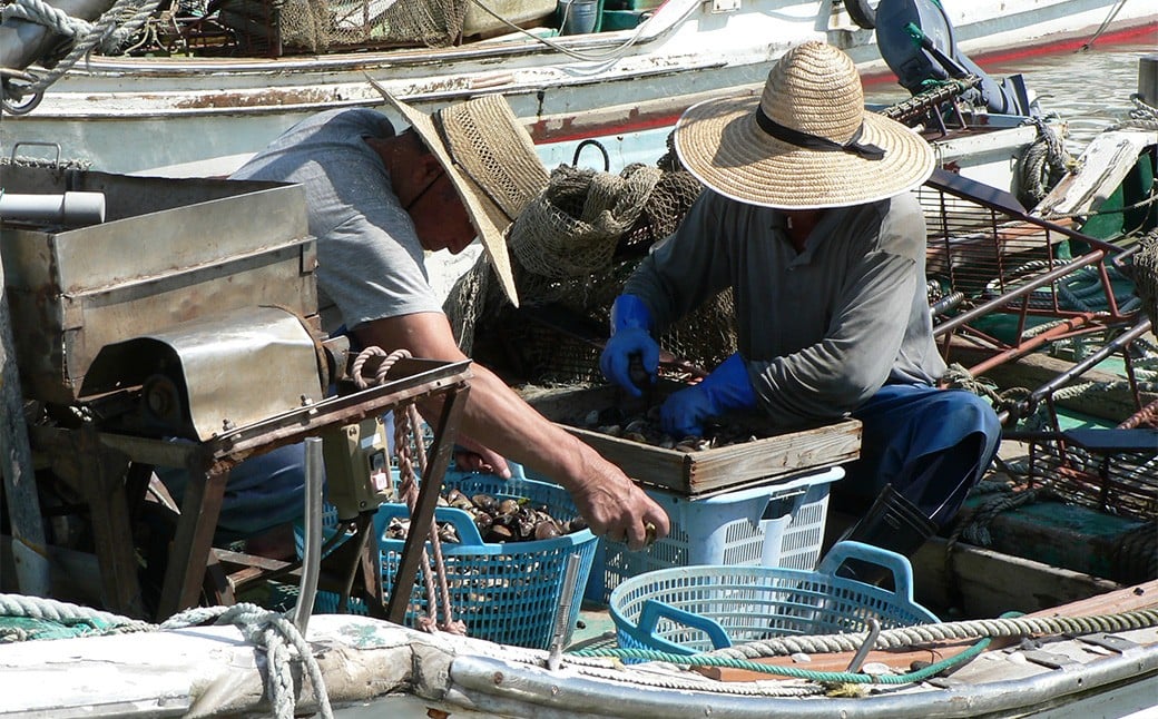 【指定日必須】 桑名産 天然はまぐり 6年～12年もの 5kg ハマグリ 蛤 貝 カイ 天然 魚介 魚介類 海鮮 海の幸 冷蔵