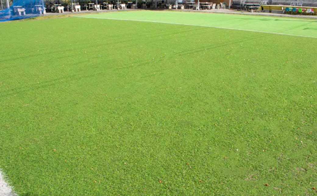 多度グリーンファーム バーベキューコース （京町柿安セット） 4名様 昼限定 ／ 体験 経験 バーベキュー アウトドア コース オリエンテーション 人工芝 目的スペース BBQ 全席屋根付き