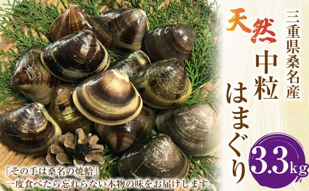 【指定日必須】マルヨシ水産　桑名産中粒天然蛤　3.3kg_はまぐり　ハマグリ　魚介　貝　魚貝　活はまぐり　焼きはま　海鮮　網焼き　酒蒸し　お吸い物　パエリア　パスタ