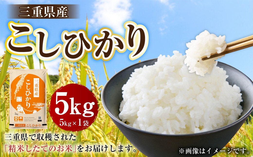令和7年産 三重県産 コシヒカリ 5kg×1袋 【2026年7月下旬頃迄発送予定】 米 お米 白米 精米 こしひかり 国産 ご飯 白飯 おにぎり 三重県 桑名市