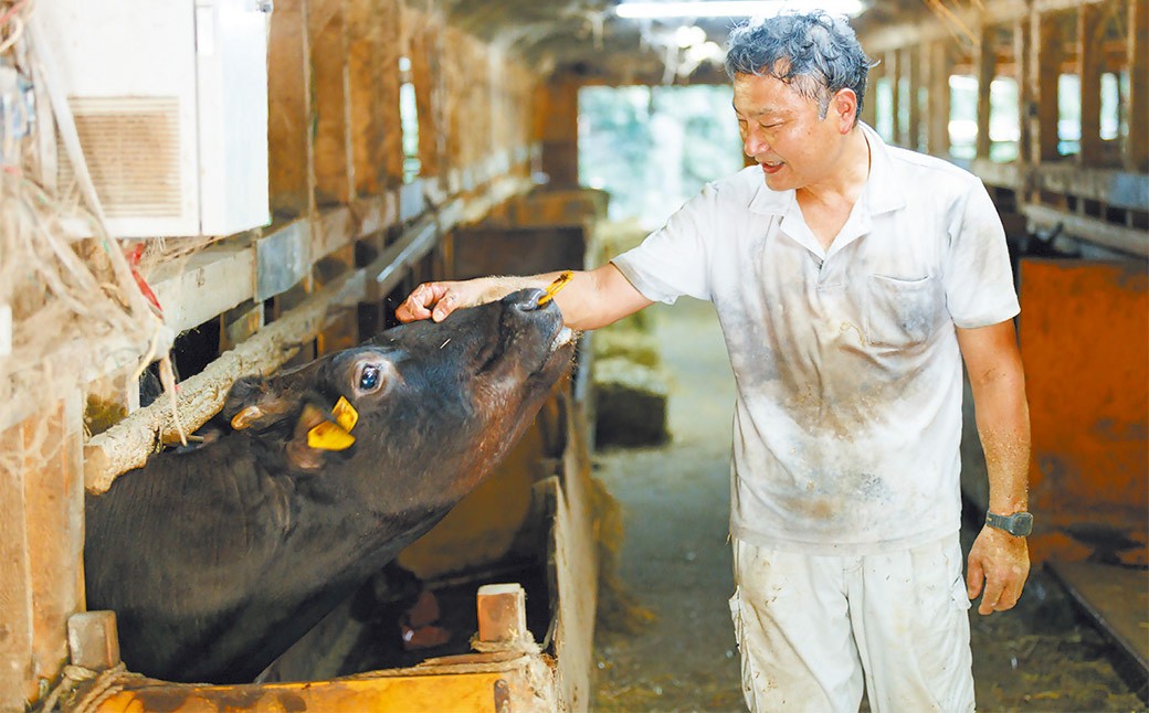 武藤牧場直売店山嘉 焼肉用お肉 約1.2kg×4回 合計4.8kg 【冷蔵 定期便4ヶ月】 ／ 牛肉 焼き肉 定期便 三重県 桑名市