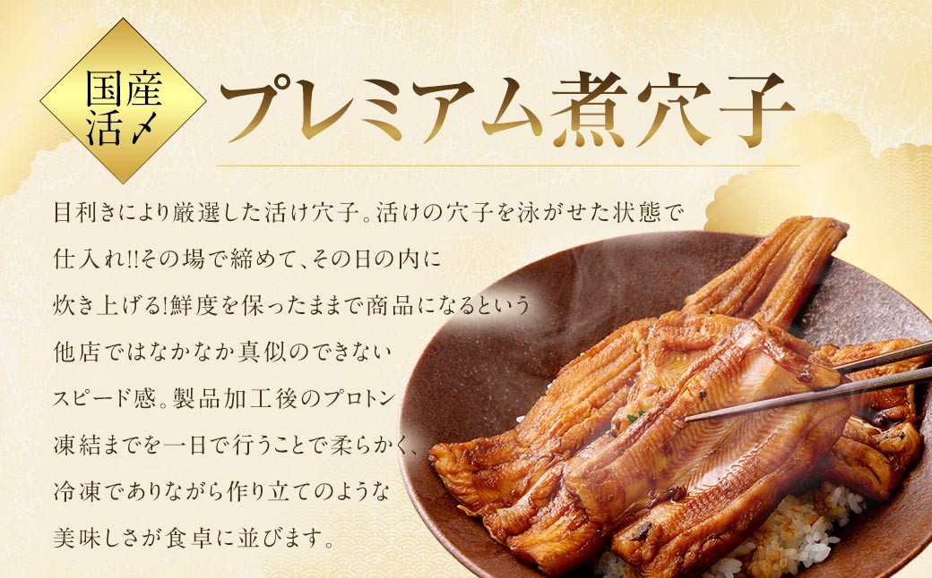 【 6ヶ月定期便 】 国産活〆 プレミアム煮穴子 500g （ 250g × 2袋 ） タレ （ 50g ） 付 魚 魚類 お魚 穴子 アナゴ あなご 魚料理 冷凍 保存料不使用 着色料不使用 添加物不使用