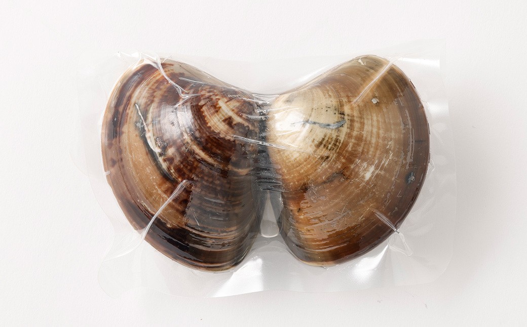 5年もの 桑名産 はまぐり 2粒×9個入 計18粒（ レトルト ） ハマグリ 蛤 貝 カイ 魚介 魚介類 海鮮 海の幸 常温