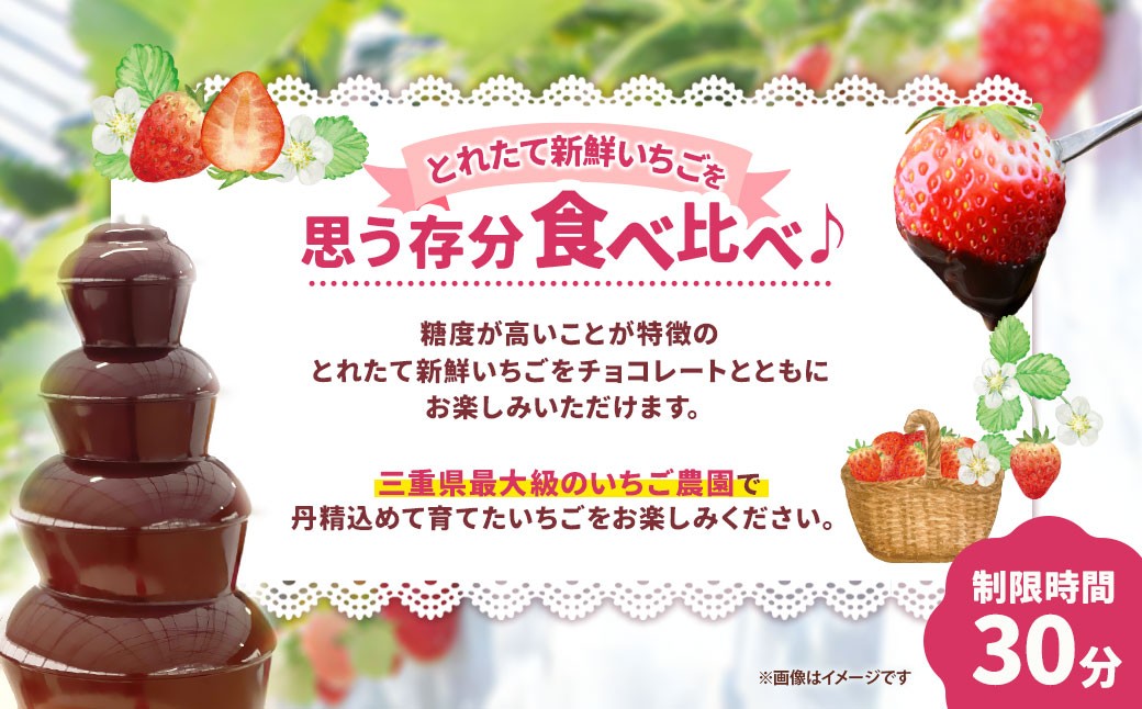 多度グリーンファーム いちご狩り体験 4名様 ／ 体験 経験 いちご狩り チョコレートファウンテン いちご イチゴ 苺
