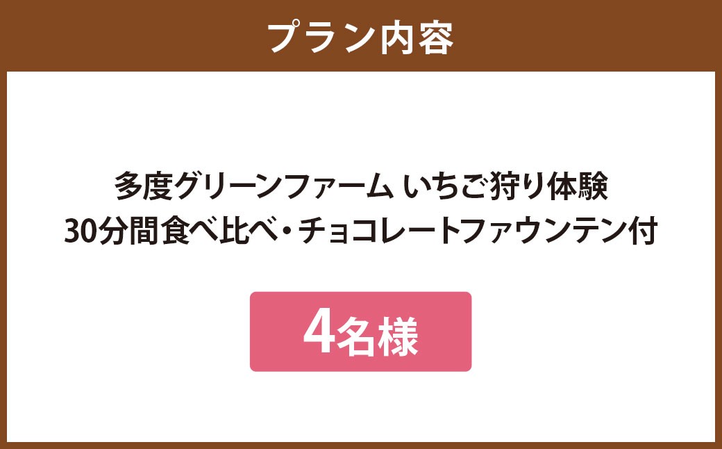 多度グリーンファーム いちご狩り体験 4名様 ／ 体験 経験 いちご狩り チョコレートファウンテン いちご イチゴ 苺