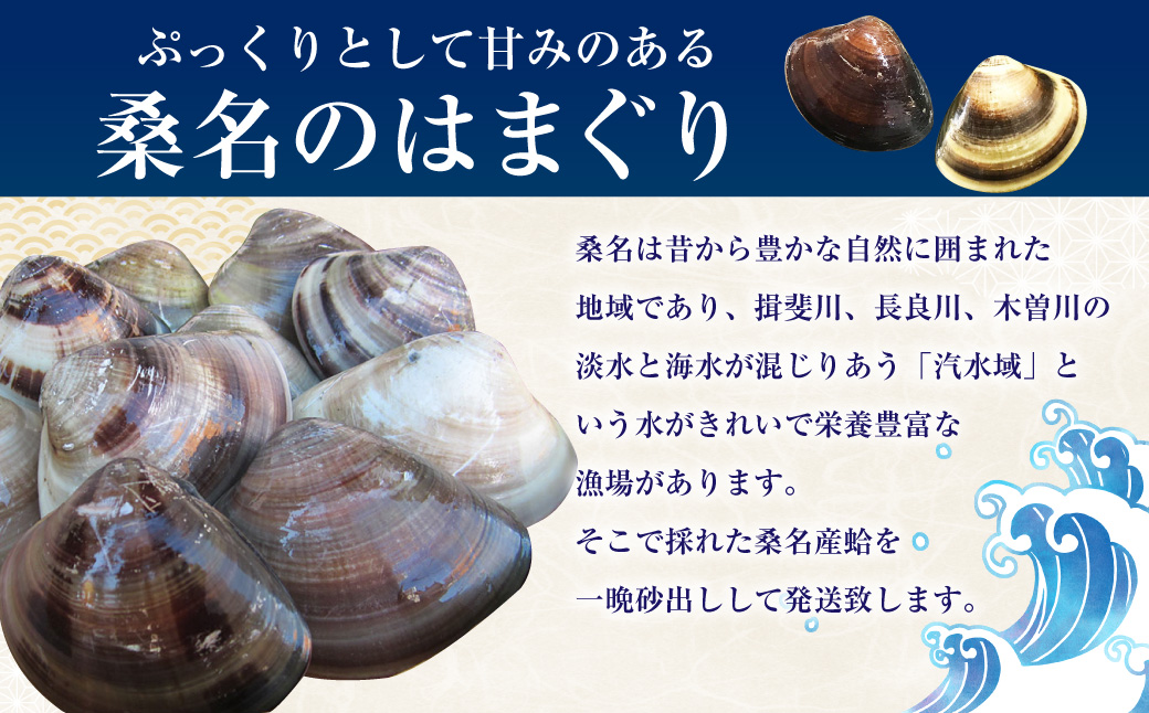 【指定日必須】 丸元水産 桑名産蛤（ハマグリ） 4.0kg はまぐり 蛤 天然蛤 砂出し済 【2025年9月下旬から2026年6月下旬発送予定】 023-0033