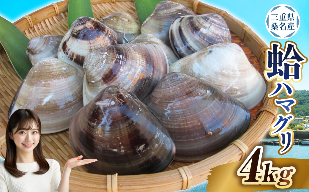 【指定日必須】 丸元水産 桑名産蛤（ハマグリ） 4.0kg はまぐり 蛤 天然蛤 砂出し済 【2025年9月下旬から2026年6月下旬発送予定】 023-0033