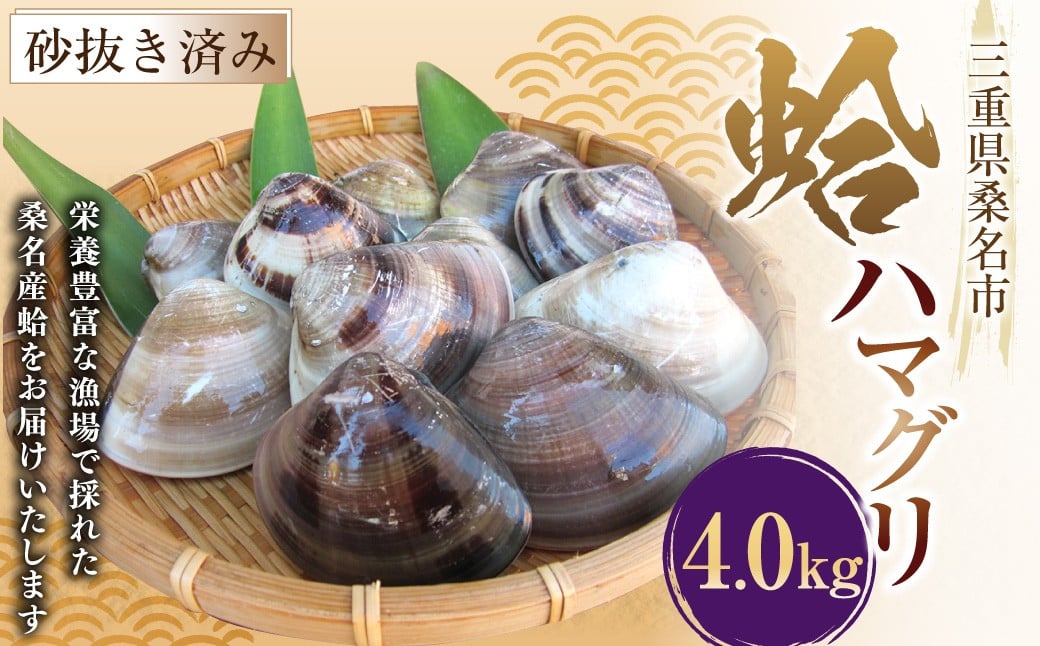 【指定日必須】 丸元水産 桑名産蛤（ハマグリ） 4.0kg はまぐり 蛤 天然蛤 砂出し済 【2025年9月下旬から2026年6月下旬発送予定】 023-0033