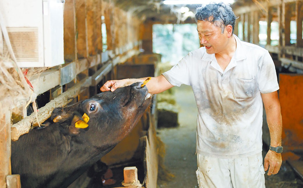 【冷凍】武藤牧場直売店山嘉【黒毛和牛】山嘉牛 すきやき 約500g 冷凍 国産 牛肉 赤身 ロース モモ バラ ミックス 上質 贈答 ギフト おすすめ グルメ