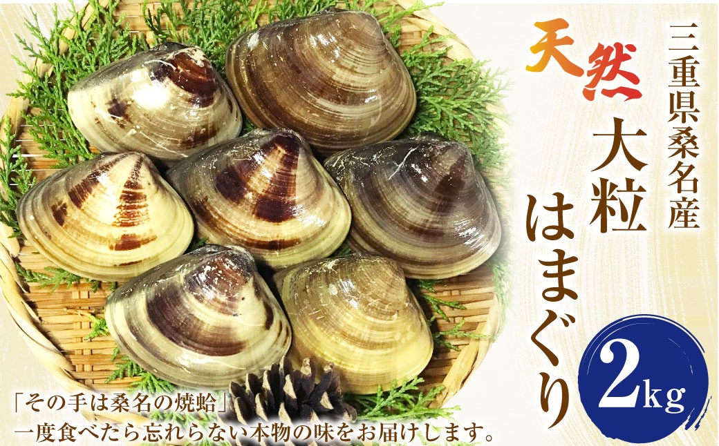 【指定日必須】マルヨシ水産 桑名産大粒天然蛤 2kg_はまぐり ハマグリ 魚介 貝 魚貝 活はまぐり 焼きはま 海鮮 網焼き 酒蒸し お吸い物 パエリア パスタ