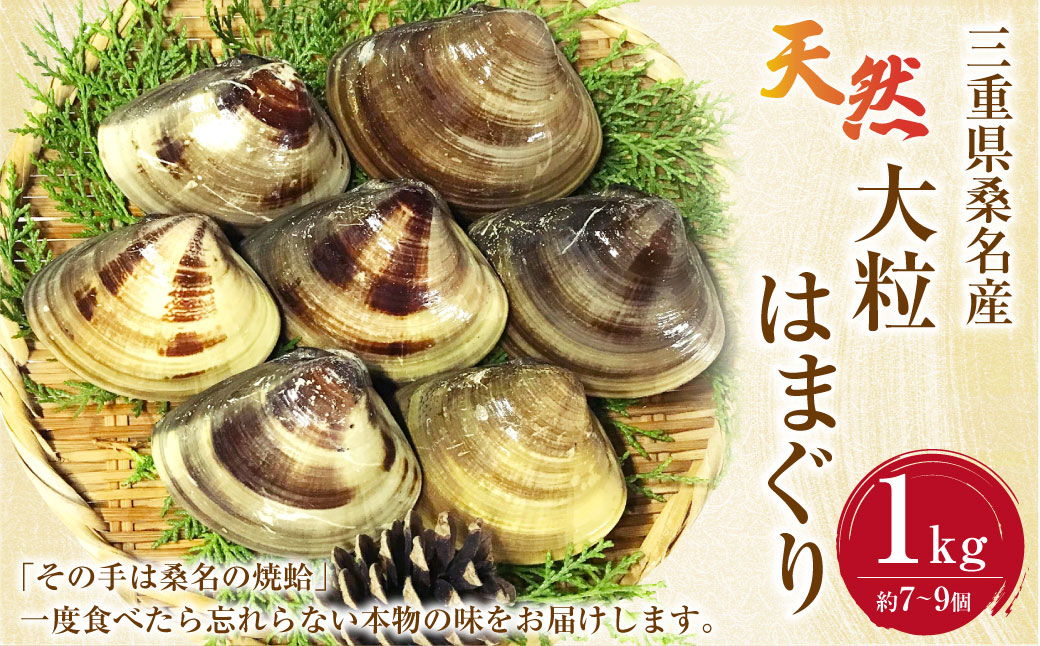 【指定日必須】【配送不可地域有】マルヨシ水産 桑名産大粒天然蛤 1kg（約7～9個）はまぐり ハマグリ 魚介 貝 魚貝 活はまぐり 焼きはま 海鮮 網焼き 酒蒸し お吸い物 パエリア パスタ