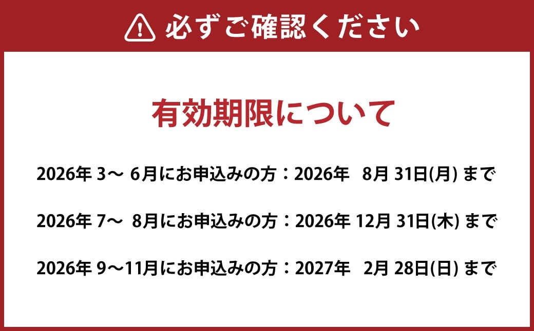 ナガシマ リゾート ナガシマ スパーランド パスポート券 大人1名 【有効期限有り】 遊園地 テーマパーク 人気 絶叫 アトラクション 観光 レジャー チケット 三重県 桑名市 長島