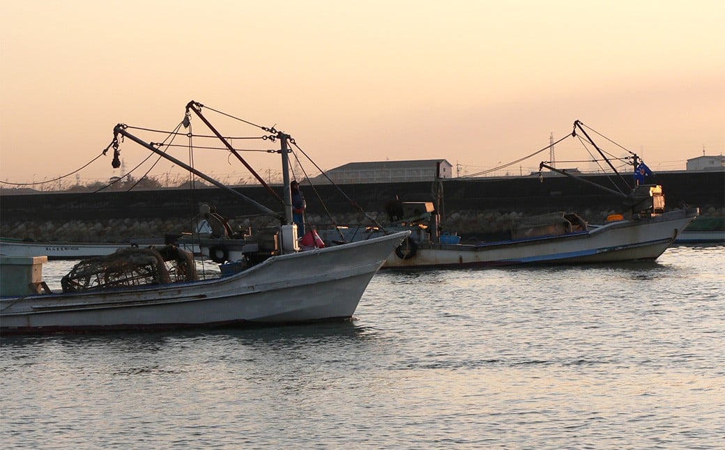 ãæå®æ¥å¿
é ã èé€ã¯ãŸãã 3幎ïœ6幎ãã® 500g ããã°ãª è€ è² ã«ã€ éä» éä»é¡ æµ·é®® æµ·ã®å¹ž å·èµ