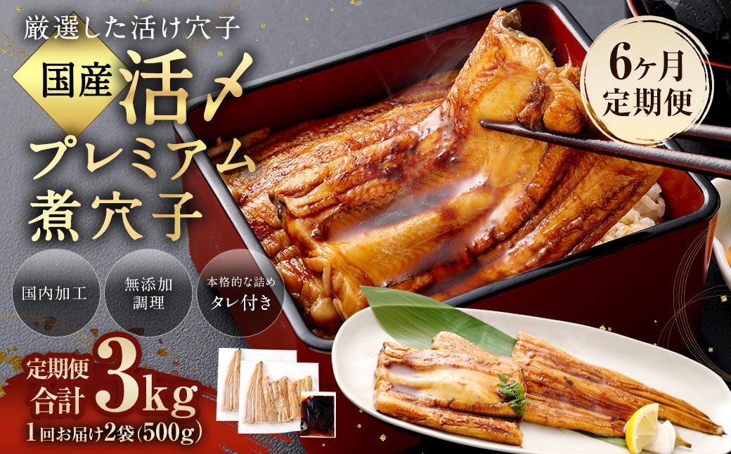 【 6ヶ月定期便 】 国産活〆 プレミアム煮穴子 500g （ 250g × 2袋 ） タレ （ 50g ） 付 魚 魚類 お魚 穴子 アナゴ あなご 魚料理 冷凍 保存料不使用 着色料不使用 添加物不使用