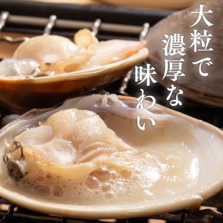 丸元水産　桑名産蛤(ハマグリ)1.2kg_はまぐり　魚介　貝　魚貝　活はまぐり　焼きはま　海鮮　網焼き　酒蒸し　お吸い物　パエリア　パスタ　m_83