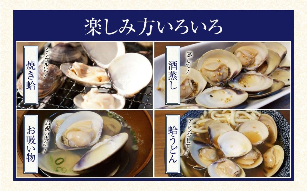 【指定日必須】マルヨシ水産　桑名産中粒天然蛤　1kg_はまぐり　ハマグリ　魚介　貝　魚貝　活はまぐり　焼きはま　海鮮　網焼き　酒蒸し　お吸い物　パエリア　パスタ
